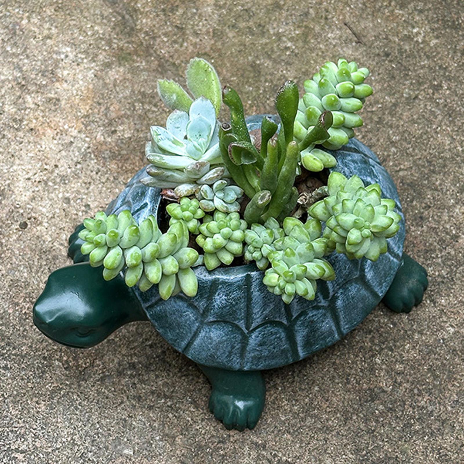Bonsai Garden Restaurant - Schildkröten-Blumentopf Bonsai-Topf Sammlerstück Kunstwerk Schildkröten-Pflanzgefäß für