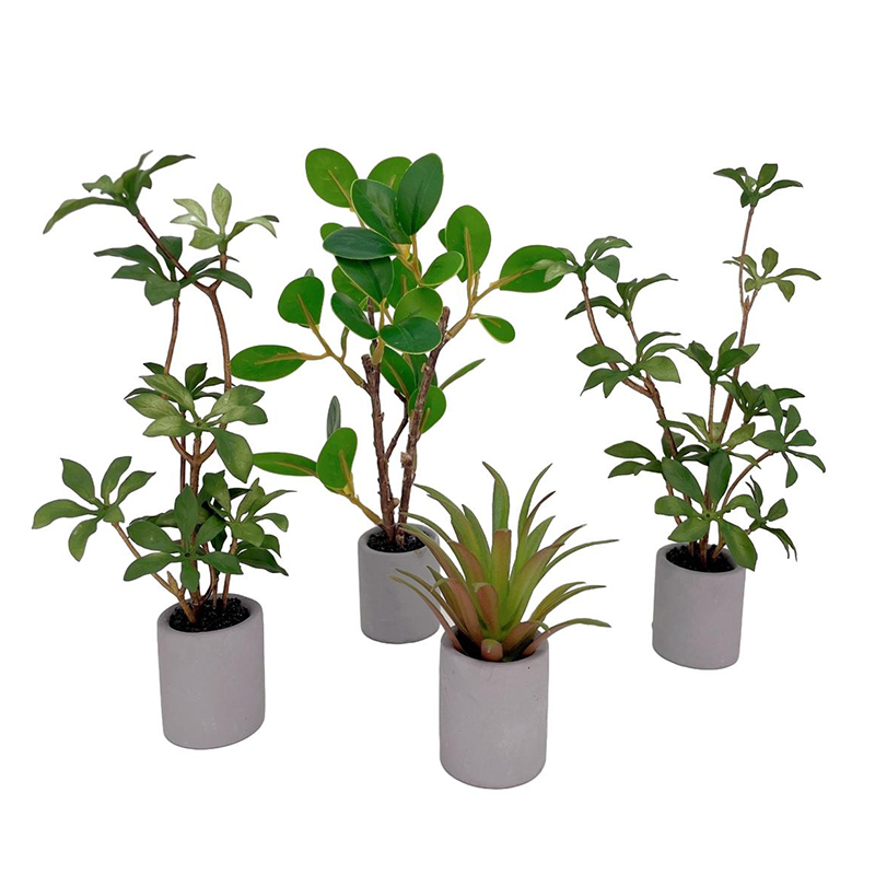 Bonsai Garden House - 1:6 Puppenhaus Miniatur Topfpflanze Grünblättriger Blumentopf