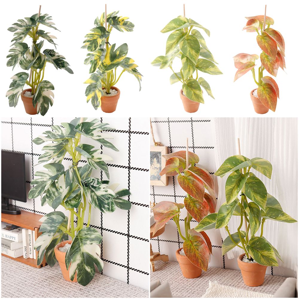 Kreatives 1:12 Puppenhaus Pfla – Bonsai Garden House Bewertung und Preis