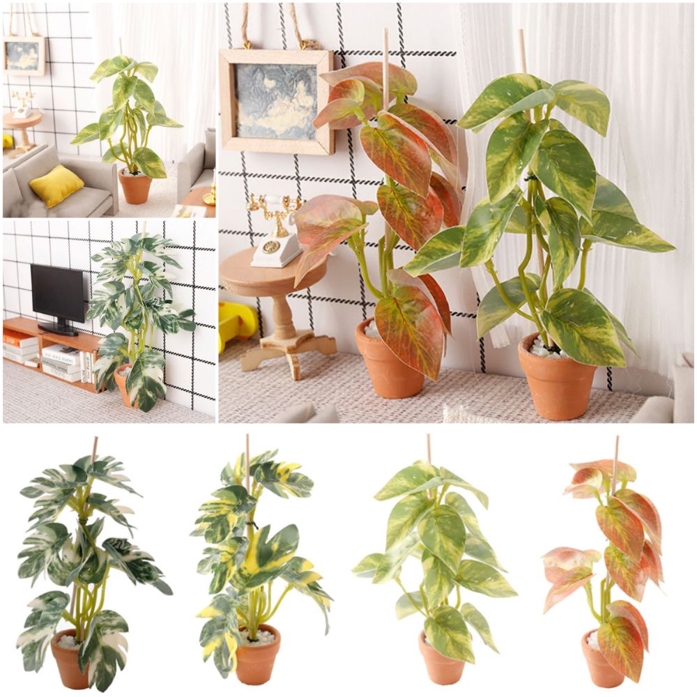 Kreatives 1:12 Puppenhaus Pfla – Bonsai Garden House Bewertung und Preis