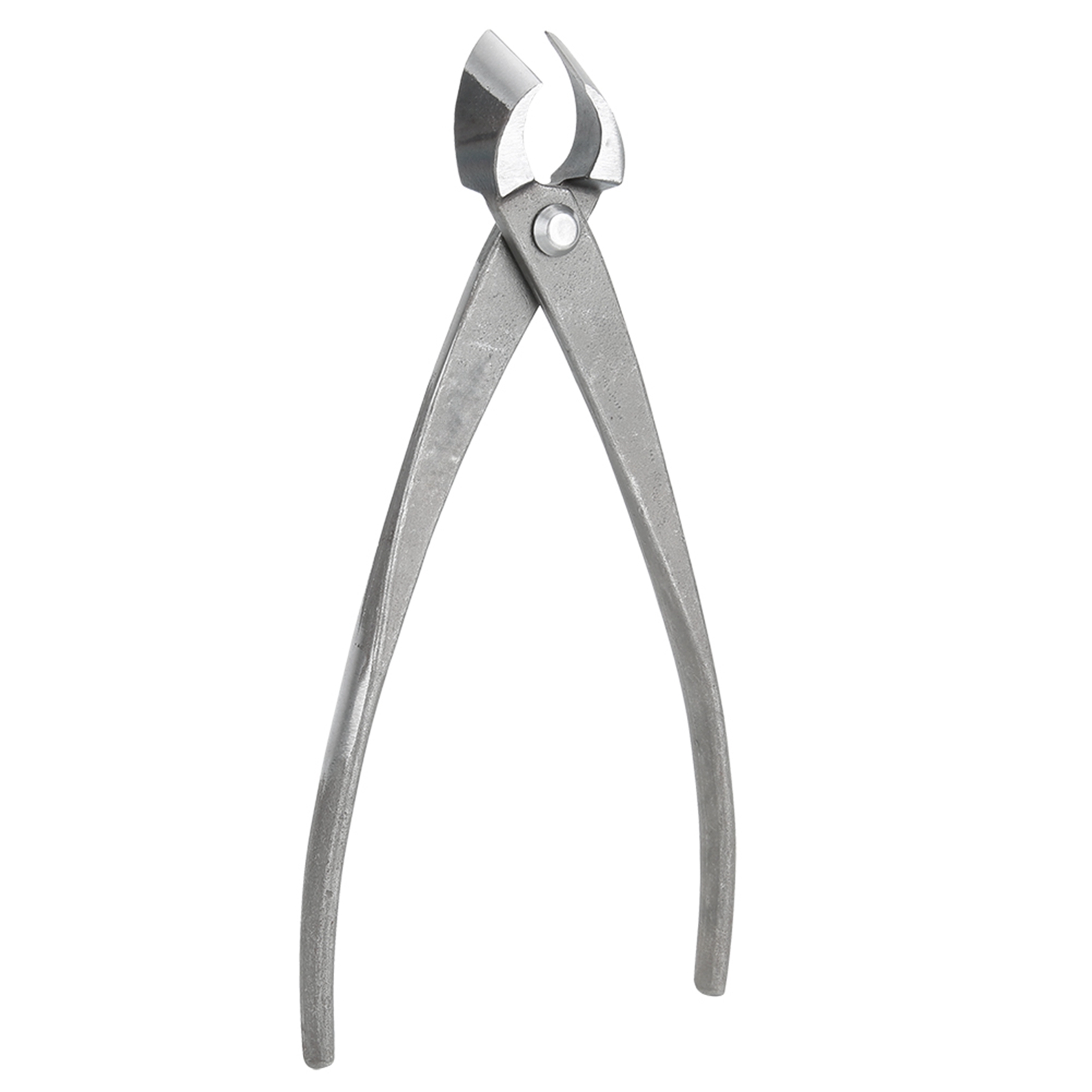 Bonsai Cutter Multifunktionale – Bonsai Tool Set Bewertung und Preis