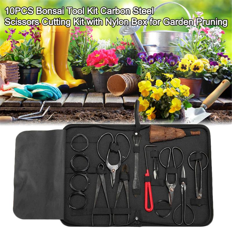 Bonsai Werkzeugset Kohlenstoff – Bonsai Tool Set Bewertung und Preis