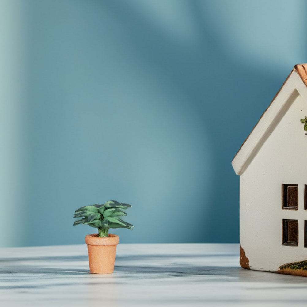 Miniatur-Kunstpflanzen im Topf – Bonsai Garden House Bewertung und Preis