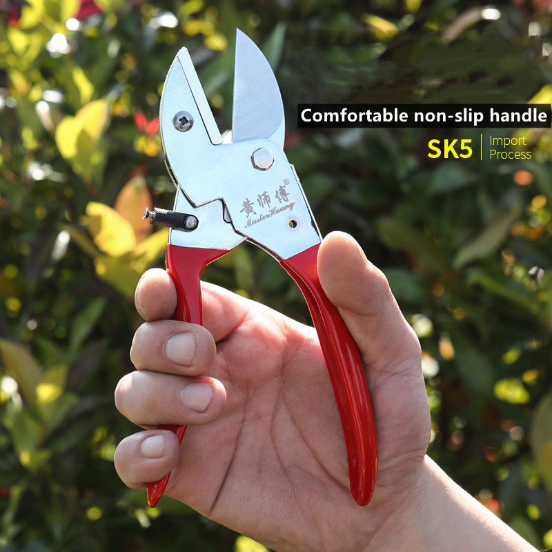 Manuelle Gartenschere aus SK5- – Bonsai Tool Set Bewertung und Preis