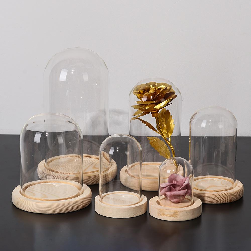 Glas Cloche Jar Display Stand  – Display Stand Wood Bewertung und Preis